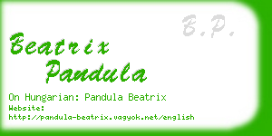 beatrix pandula business card